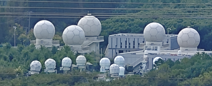 2026.3.12植樹節(jié)4